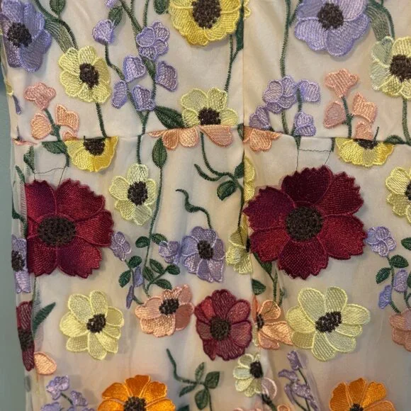 Anewsta Embroidered Floral Applique Mini Dress - Ivory Multi - Size Large - Picture 5 of 10